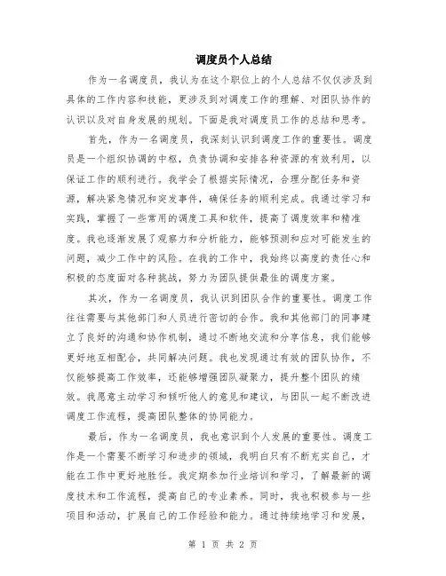 调度员个人总结