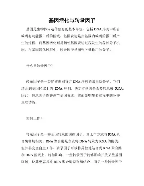 基因活化与转录因子