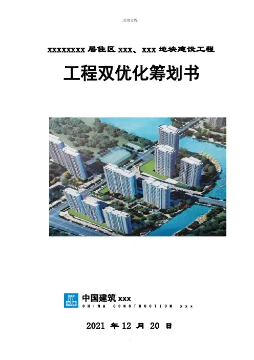 中建项目双优化策划书