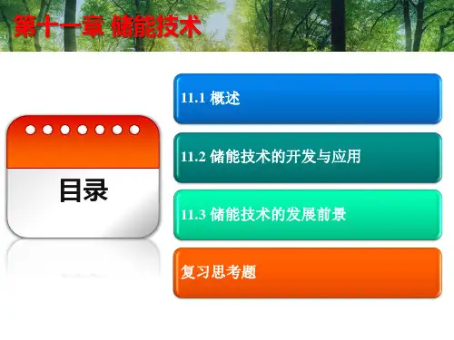 储能 技术