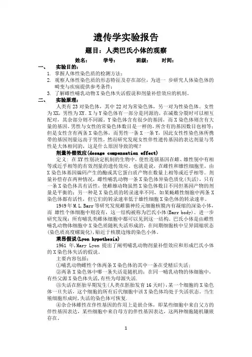人类巴氏小体的观察