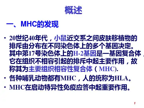 主要组织相容性复合体