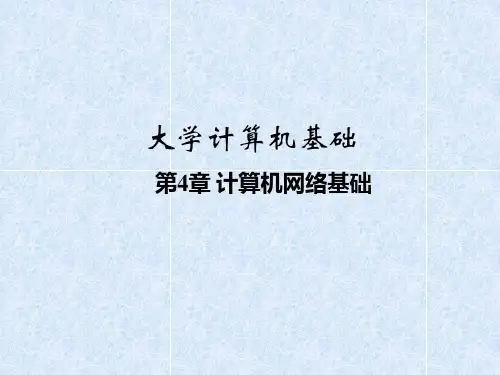 《计算机网络简介》PPT课件