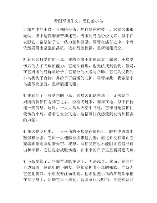 看图写话作文：受伤的小鸟