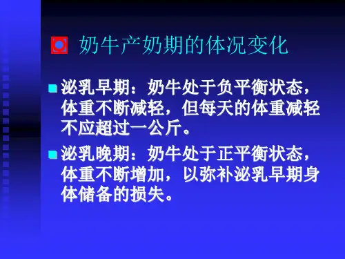 奶牛体况评分