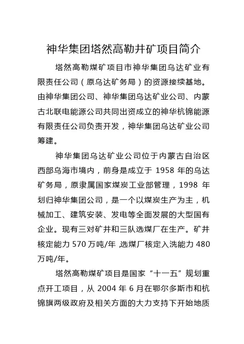 神华集团塔然高勒井矿项目简介