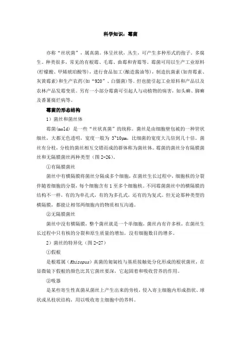 小学科学知识：霉菌
