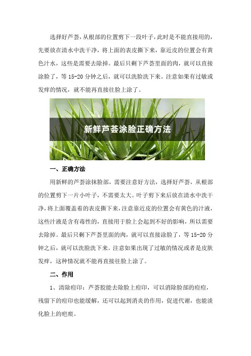 新鲜芦荟涂脸正确方法,芦荟胶的作用
