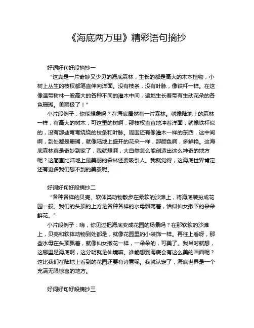 《海底两万里》精彩语句摘抄