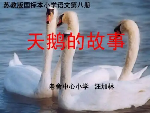 天鹅的故事课件