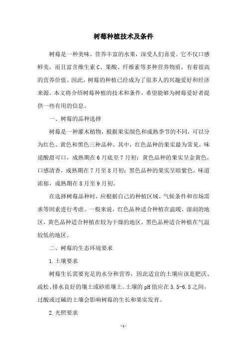 树莓种植技术及条件