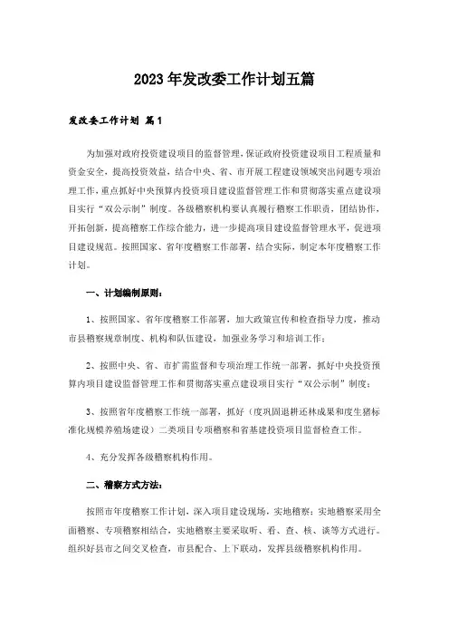 2023年发改委工作计划五篇