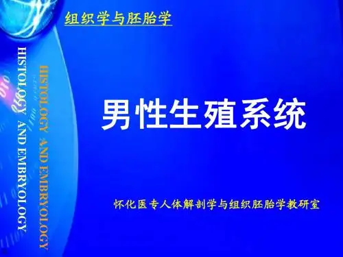 12男生系统