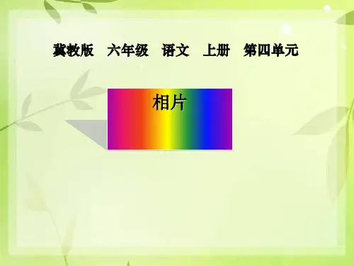 《相片》PPT(上课用)