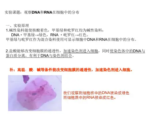 高中生物必修一实验知识点总结