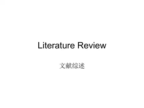 文献综述