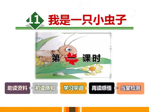 《我是一只小虫子》优秀PPT课件(第一课时)