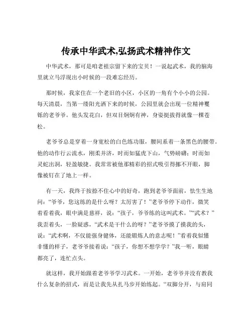 传承中华武术,弘扬武术精神作文