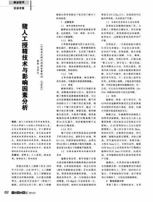 猪人工授精技术与影响因素分析