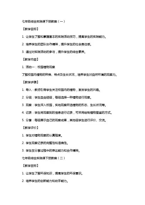 七年级综合实践课下册教案全册
