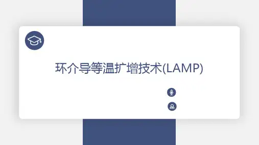 环介导等温扩增技术