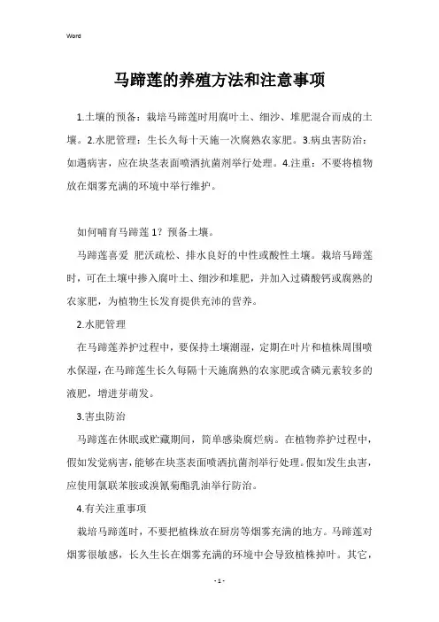马蹄莲的养殖方法和注意事项