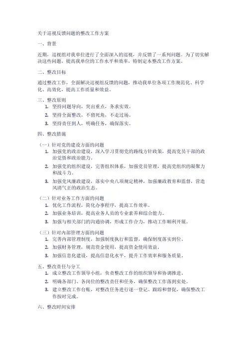 关于巡视反馈问题的整改工作方案