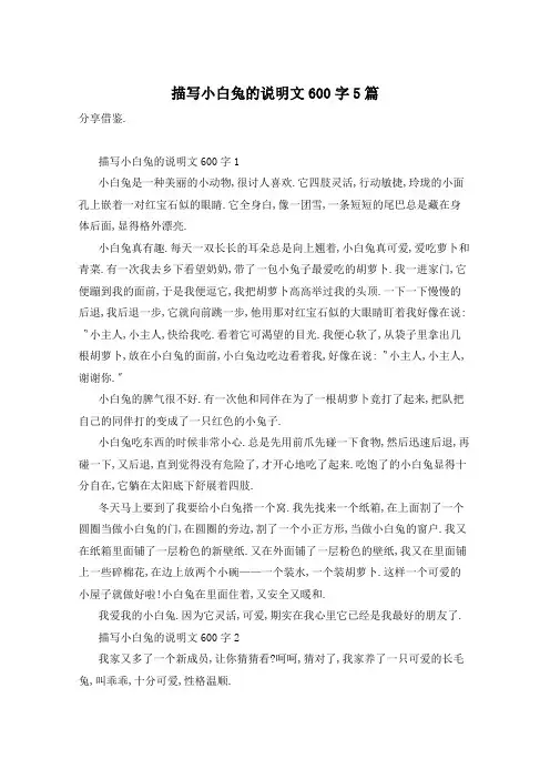 描写小白兔的说明文600字5篇