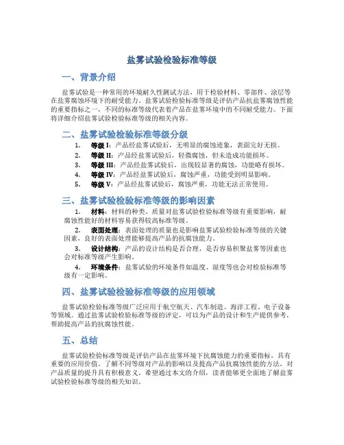 盐雾试验检验标准等级