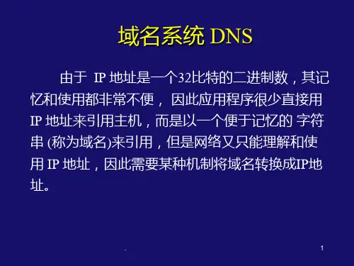 DNS域名介绍PPT课件
