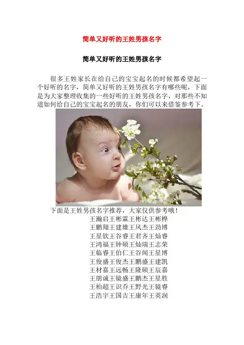 简单又好听的王姓男孩名字
