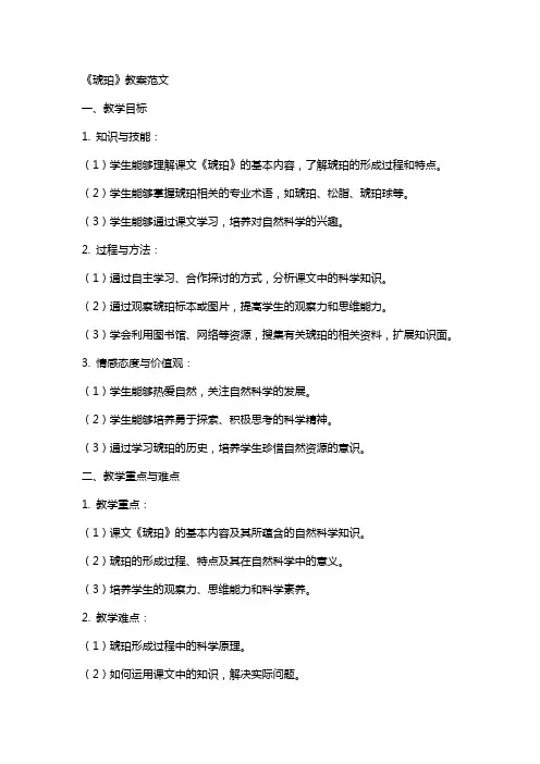 《琥珀》教案范文