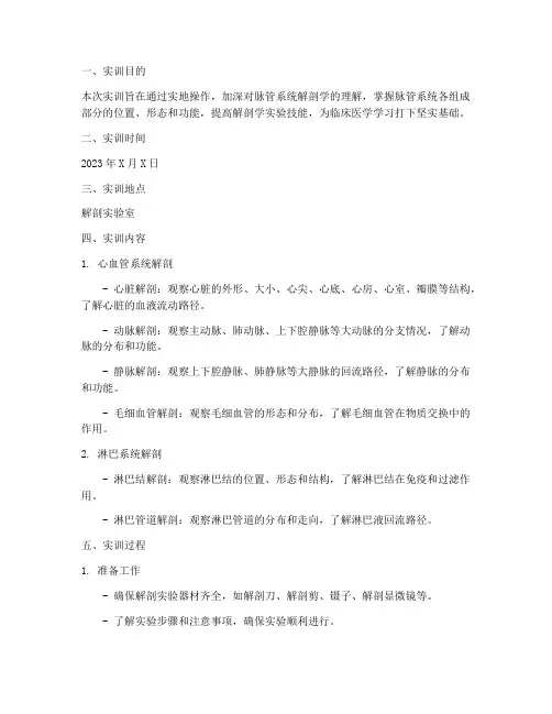脉管系统解剖学实训报告