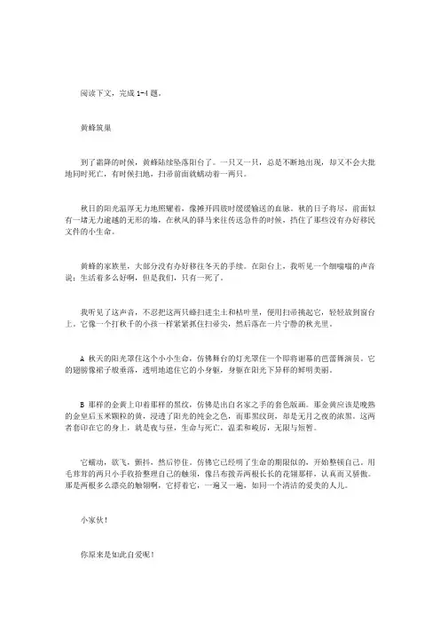 黄蜂筑巢阅读附答案