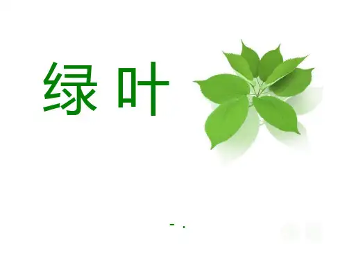 《绿叶》PPT课件