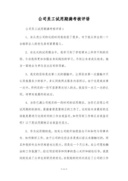 公司员工试用期满考核评语