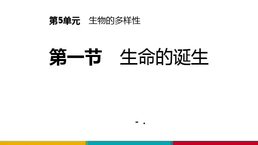 《生命的诞生》PPT课件