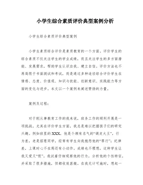 小学生综合素质评价典型案例分析