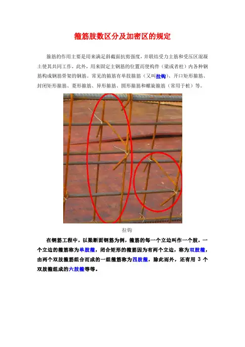 箍筋肢数区分及加密区的规定
