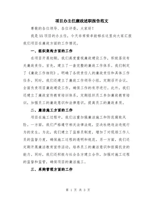 项目办主任廉政述职报告范文