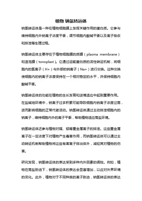 植物 钠氢转运体