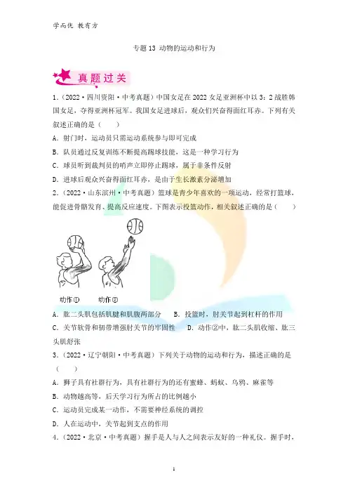 备战2023年中考生物一轮《专题13 动物的运动和行为》考点训练(原卷版)