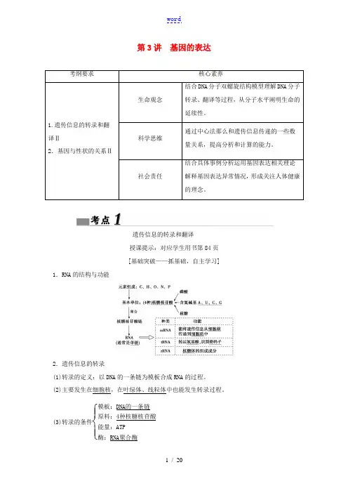 (新课标)高考生物一轮总复习 第5单元 第3讲 基因的表达教案-人教版高三全册生物教案