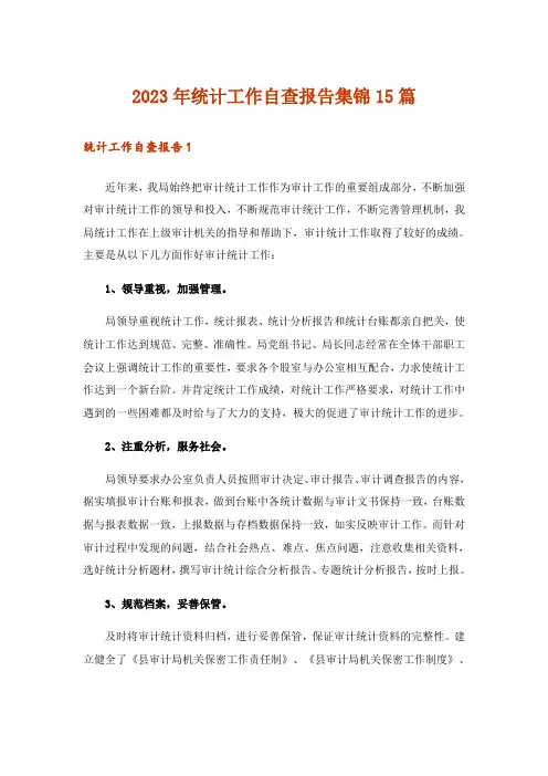 2023年统计工作自查报告集锦15篇