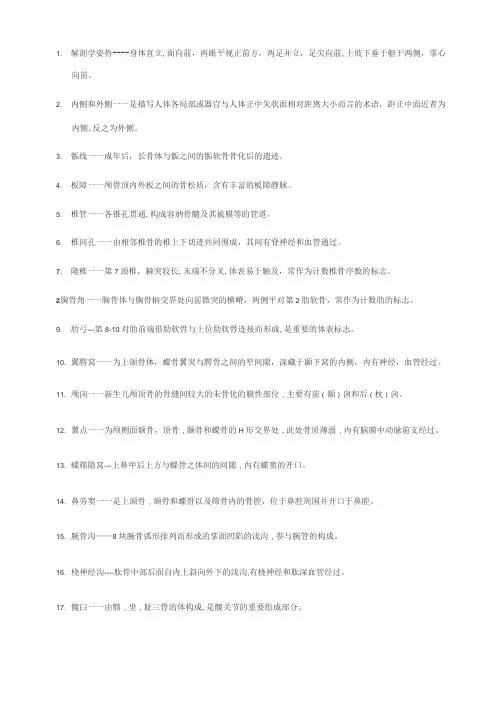 解剖学姿势