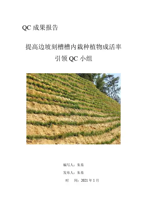 QC成果(创新型)边坡刻槽施工工艺成果