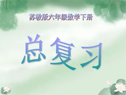 苏教版六年级数学下册总复习教案