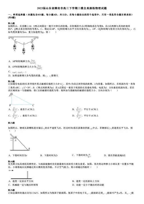 2023届山东省潍坊市高三下学期三模全真演练物理试题