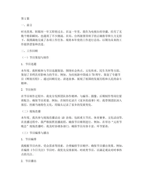 导播岗的年度总结(3篇)