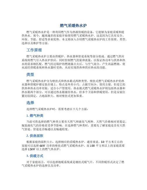 燃气采暖热水炉